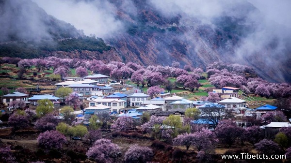 青島到拉薩旅游報(bào)價(jià)