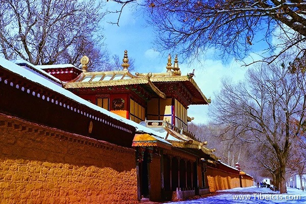 自己去西藏旅游大概多少錢