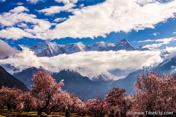 西藏旅游必去景點