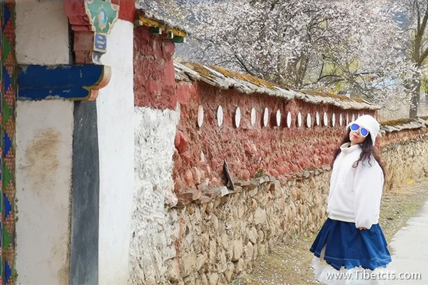 旅行團(tuán)旅游西藏多少錢一個(gè)人玩