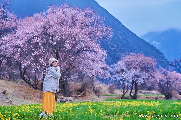 西藏跟團(tuán)游在哪里報(bào)團(tuán)