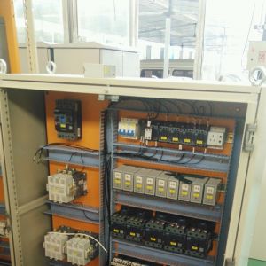 2018010295  QD10T電動(dòng)雙梁