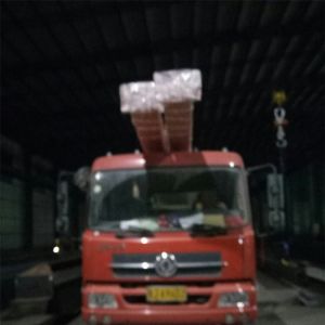 2018090157  電動(dòng)單梁起重機(jī) LD0.5-11.28